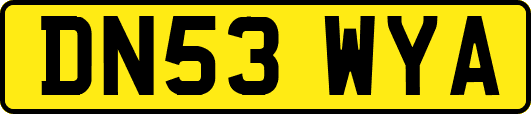 DN53WYA