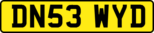 DN53WYD