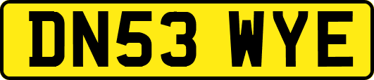 DN53WYE