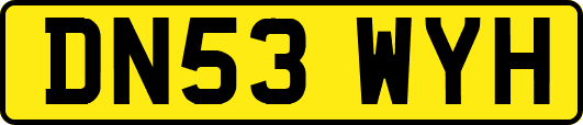 DN53WYH