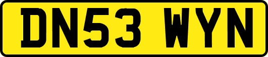DN53WYN