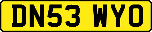 DN53WYO