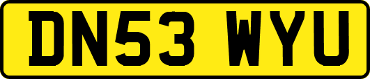 DN53WYU
