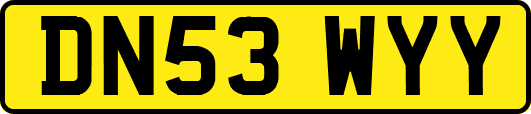 DN53WYY