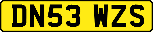 DN53WZS