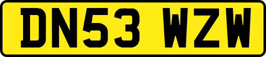 DN53WZW