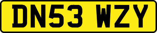 DN53WZY
