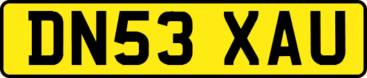 DN53XAU