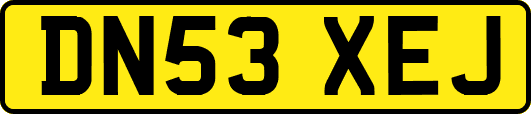 DN53XEJ