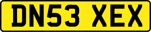 DN53XEX