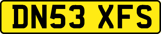 DN53XFS