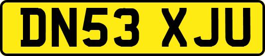 DN53XJU