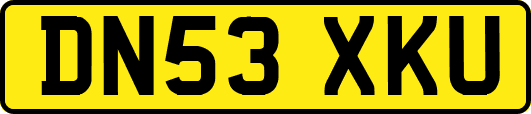 DN53XKU