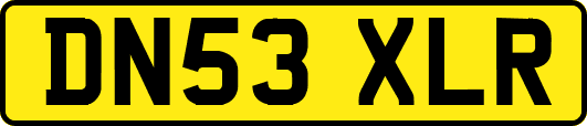 DN53XLR