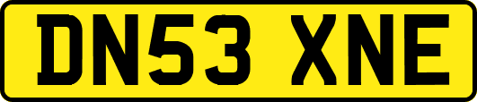 DN53XNE