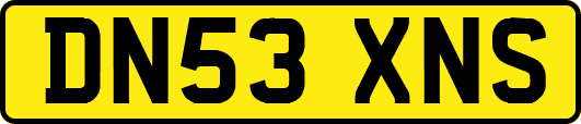 DN53XNS