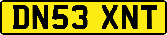 DN53XNT