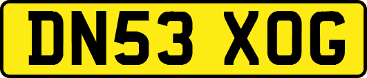 DN53XOG