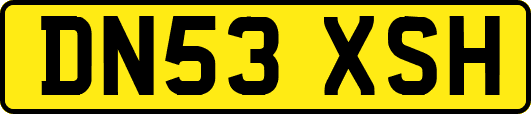 DN53XSH