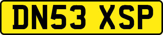 DN53XSP