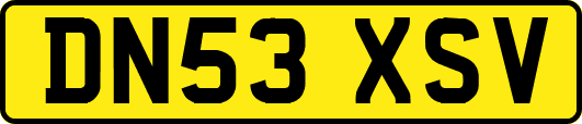 DN53XSV