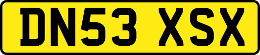 DN53XSX