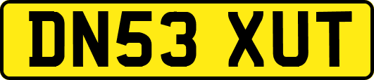 DN53XUT