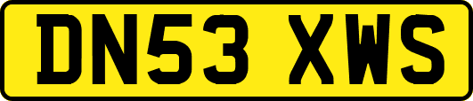 DN53XWS