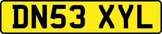 DN53XYL