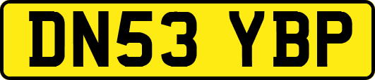 DN53YBP