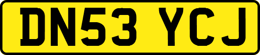 DN53YCJ