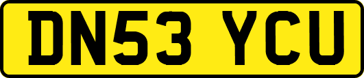 DN53YCU