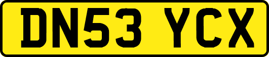 DN53YCX