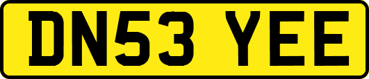 DN53YEE