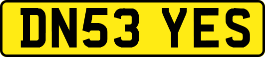 DN53YES