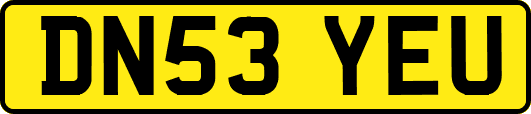 DN53YEU
