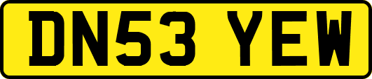 DN53YEW