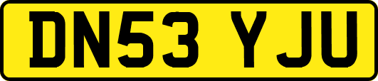 DN53YJU