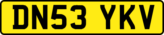 DN53YKV