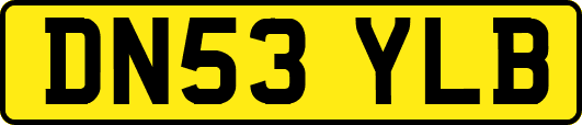 DN53YLB