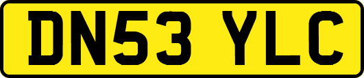DN53YLC