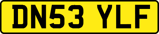 DN53YLF