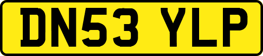 DN53YLP