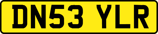 DN53YLR