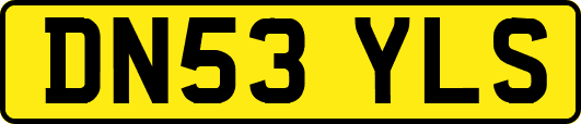 DN53YLS