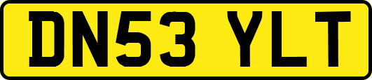DN53YLT