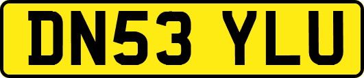 DN53YLU