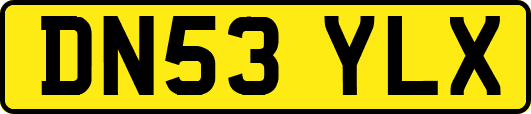 DN53YLX