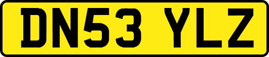 DN53YLZ