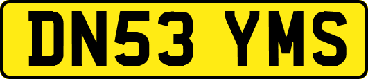 DN53YMS